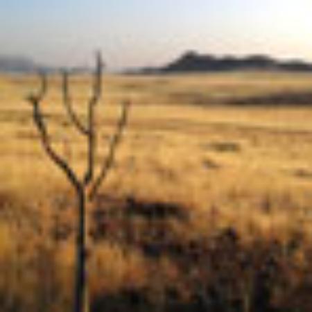 Paiol Bar e Petiscaria